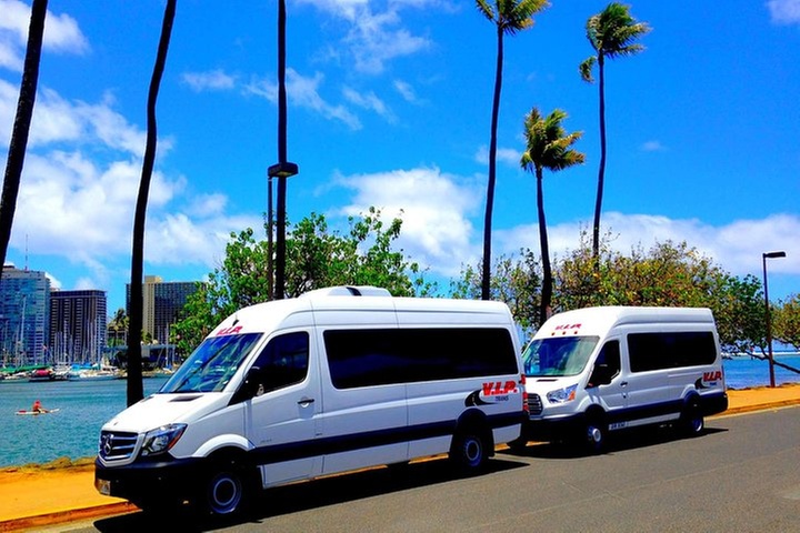 Arrival Transfer: Airport Shuttle Honolulu and Waikiki or Cruise Te...