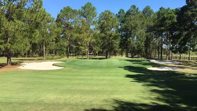 Online Booking - Round of Golf at Blueberry Plantation Golf and Country Club - Primary Image
