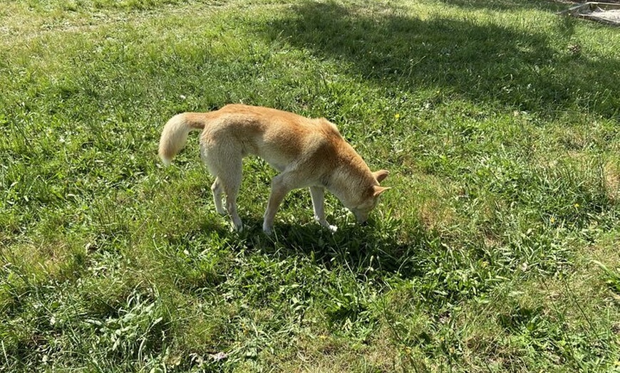Image 8: Melbourne and Moonlit Sanctuary Shore Excursion
