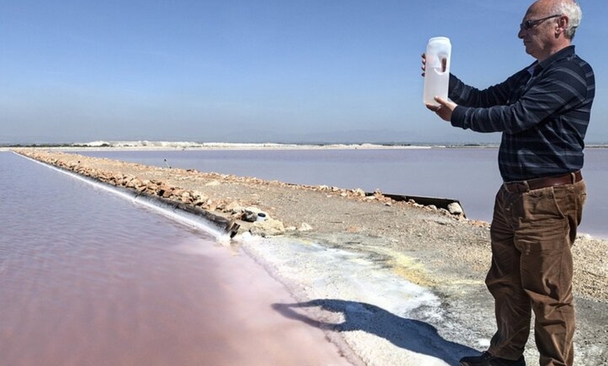 Image 5: Isla Tabarca y Santa Pola Salinas desde Alicante o Benidorm