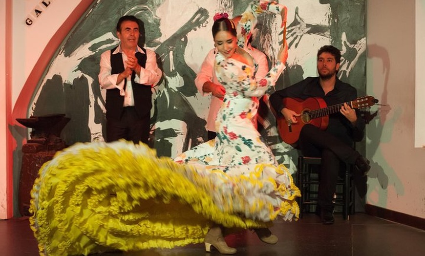 Image 3: Entrada para el espectáculo de flamenco en Los Gallos