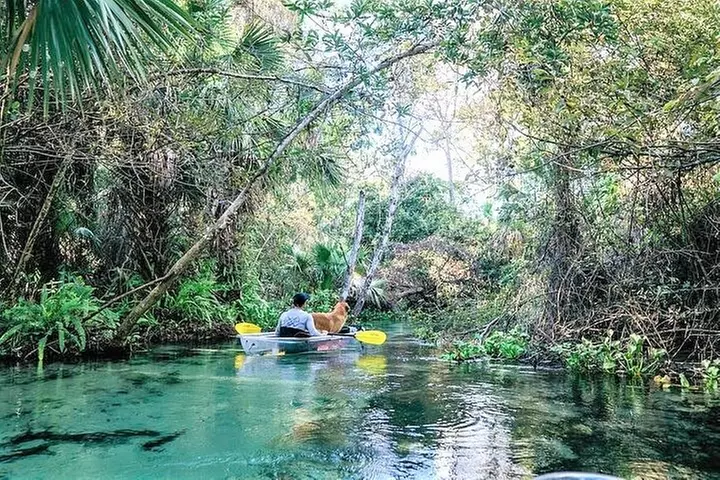 Rock Springs 2-Hour Glass Bottom Guided Kayak Eco Tour