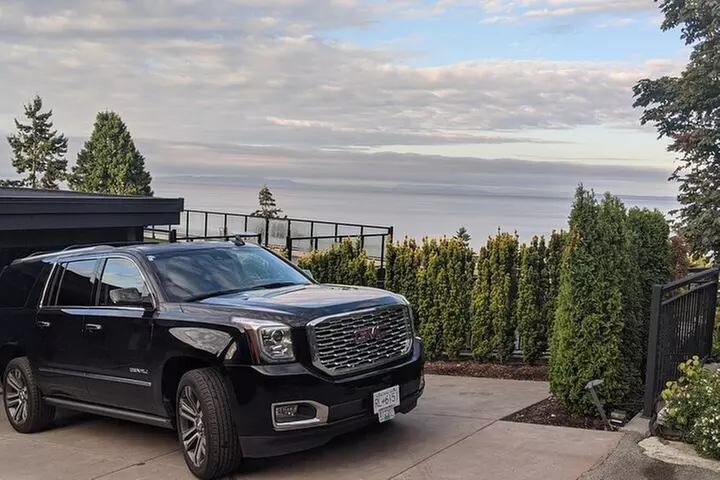 Las Vegas Airport LAS to Las Vegas Arrival Private Transfer - Primary Image