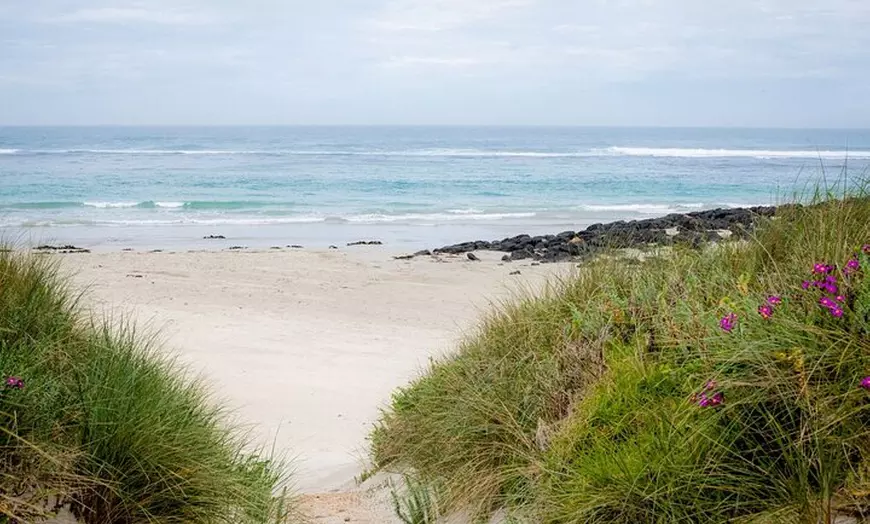 Image 3: Great Ocean Road and 12 Apostles Tour