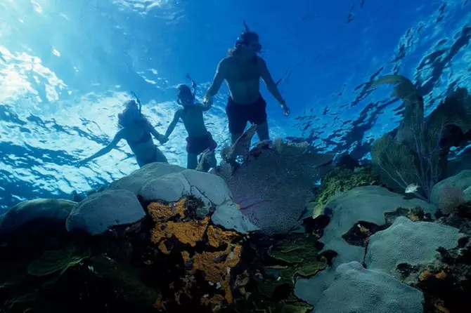 La Jolla Kayak and Snorkel Tour - Primary Image