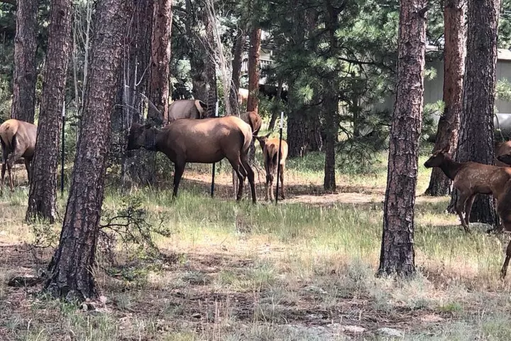 Private tour of Red Rocks, Echo Lake, Mount Evans and Idaho Springs.