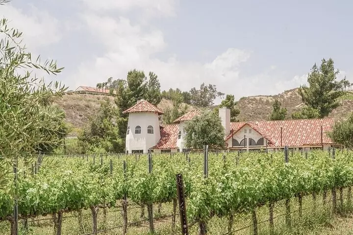 Private Temecula Wine Tour in The Wine Valley