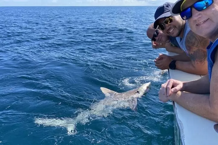 Private Sportfishing Charter For Up To 6 People