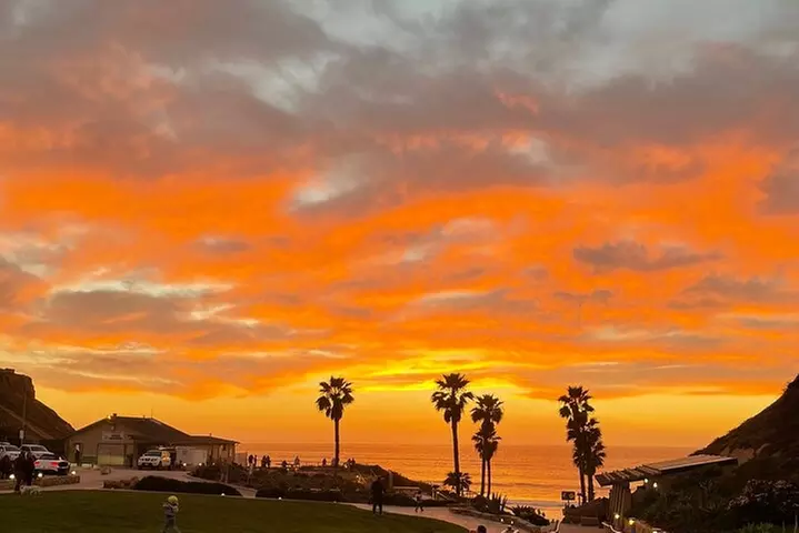 Private Surf Lesson Solana Beach Ride the Waves Fletcher Cove 2hr