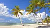 Key West Tour
