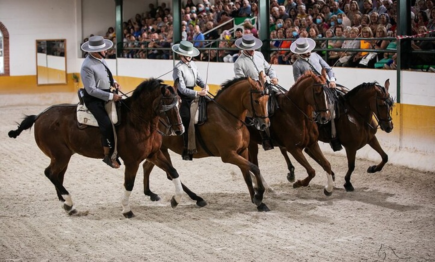 Image 3: Espectáculo de Caballos Andaluces y Flamenco con transporte