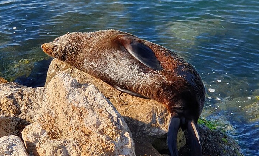 Image 13: Premium 2 Day Kangaroo Island Minibus Tour from Adelaide