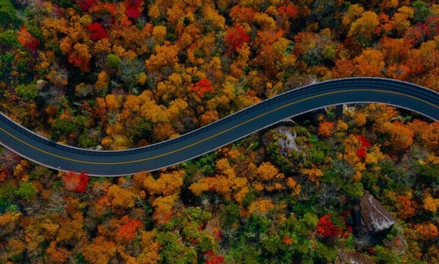 Image 1: Full Day Tour from Atlanta to Amicalola Falls and Blue Ridge