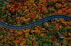Full Day Tour from Atlanta to Amicalola Falls and Blue Ridge
