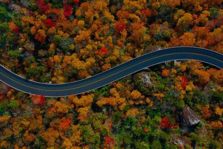 Full Day Tour from Atlanta to Amicalola Falls and Blue Ridge