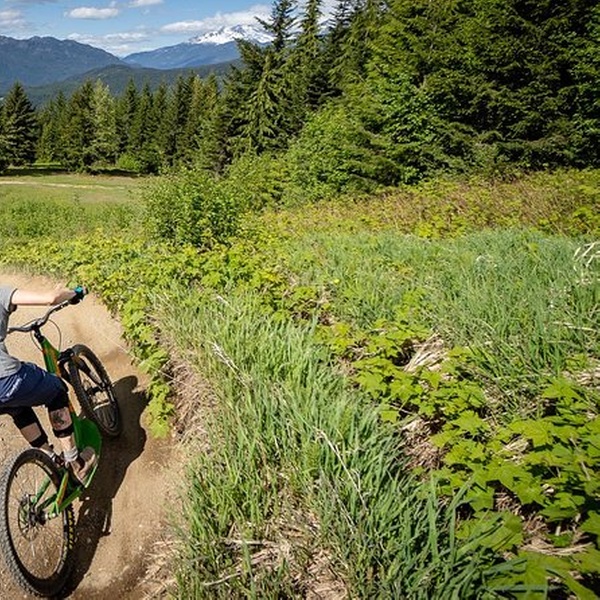 alpine bike ride