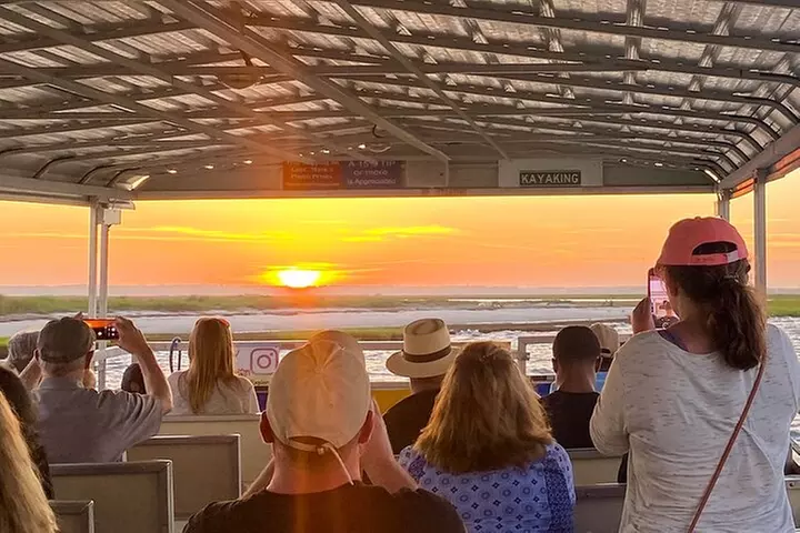 Sunset Wildlife Cruise along Assateague & Chincoteague Island - Primary Image