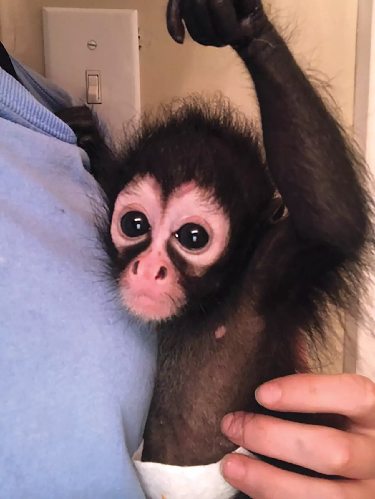 $28 For Zoo Admission For 2 Adults & 2 Children Including 2 Cups Of Zoo Food (Reg. $56) - Primary Image