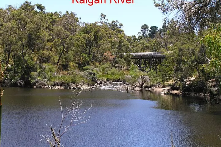 Kalgan Queen Scenic Cruises a four hour sheltered water wildlife tour daily fun. - Image 5
