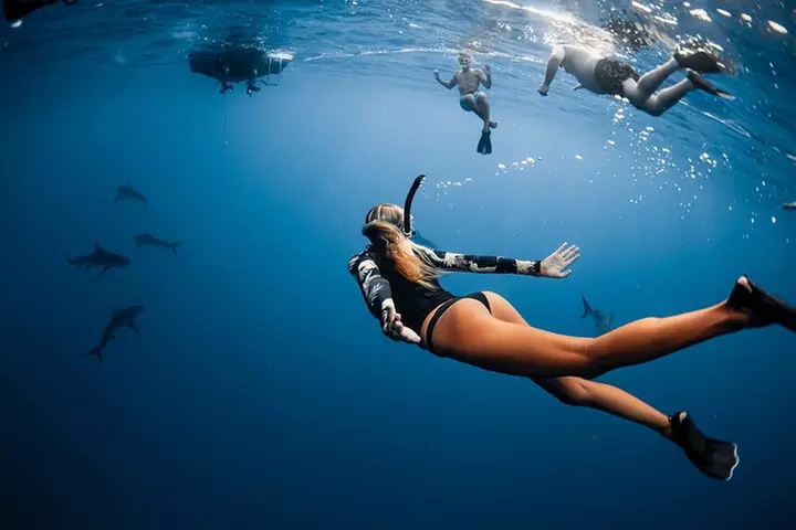 Oahu Open Water Shark Diving Experience - Primary Image