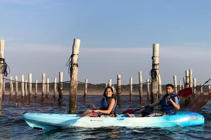 Sunset Dolphin Kayak Tours