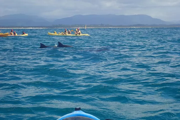 The Byron Bay Sea Kayak Tour