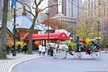 Horse Carriage Tour in New York City's Central Park Small Loop - Second Medium