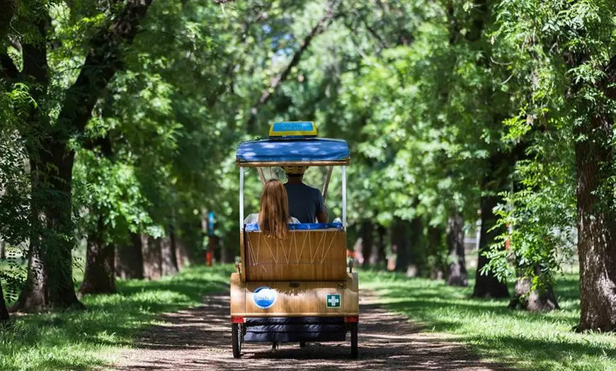 Image 3: Adelaide 90-Minute Pedicab Tour: Scenic Green & River Experience