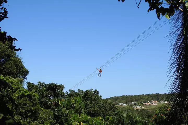 Rain Forest Zip Line Park plus Rain forest Hiking Tour - Primary Image