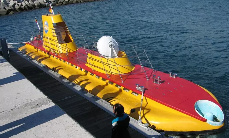 Image 17: Tour Submarino con Recogida en Hotel Tenerife Sur