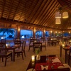 Image 9: ✈ MALDIVES | Alif Dhaal Atoll - Vilamendhoo Island Resort & Spa 4* ...
