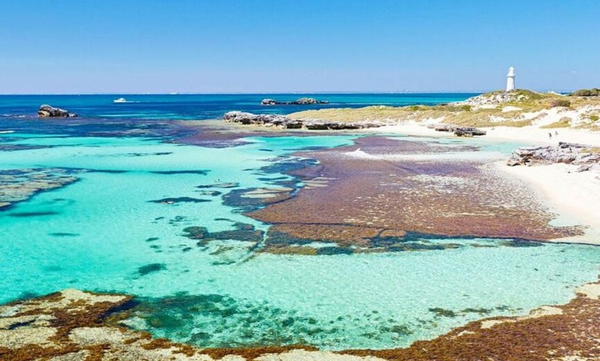 Image 5: Rottnest Island Bayseeker Day Trip from Perth