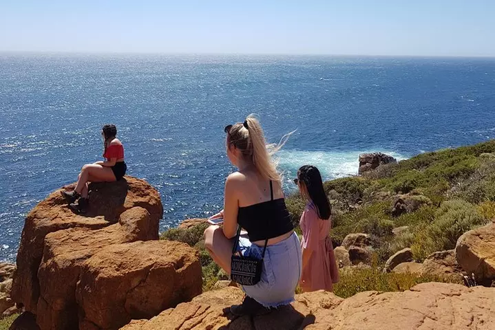 Hidden Gems: Boutique Full-Day Wine, Farm & Lunch Tour