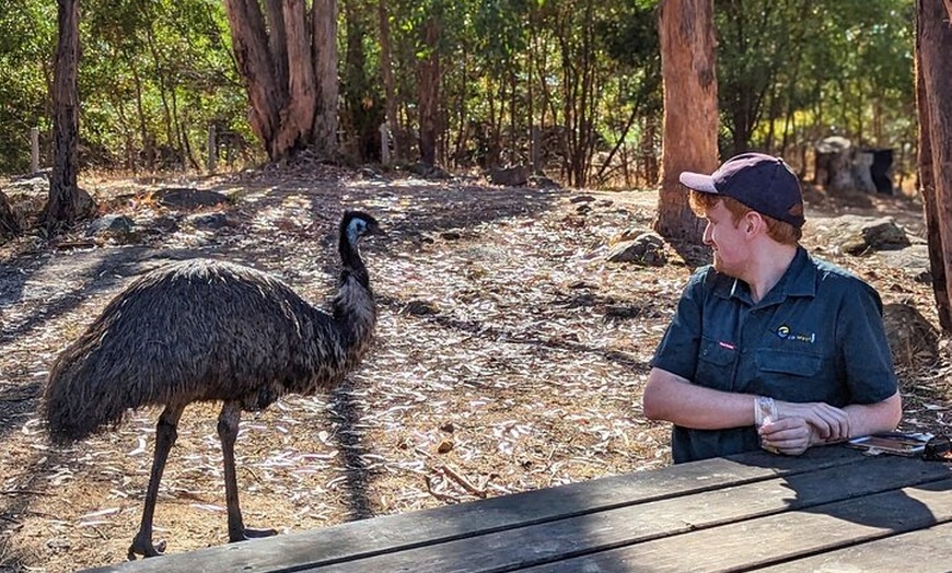 Image 12: Grampians National Park Small-Group Eco Tour from Melbourne