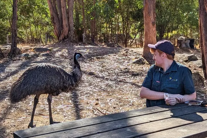 Grampians National Park Small-Group Eco Tour from Melbourne