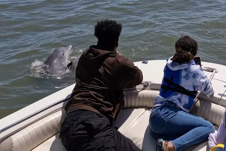 90-Minute Private Dolphin Tour in Hilton Head Island