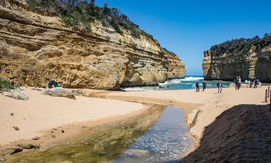 Image 11: Great Ocean Road and 12 Apostles Day Trip from Melbourne