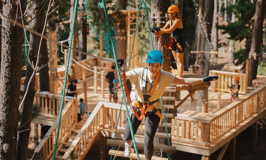 Image 1: Guided Tree Ropes Course Experience in Majura Pines