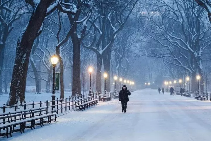 Guided Tour inside Central Park with Pedicab