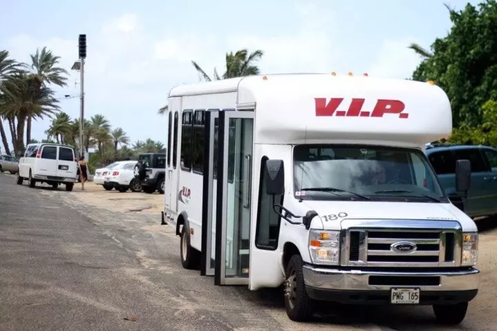 Arrival Transfer: Airport Shuttle Honolulu and Waikiki or Cruise Te...
