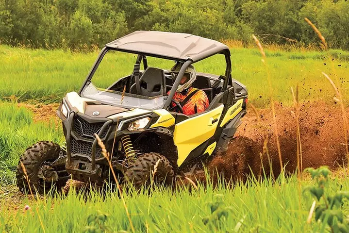 Puerto Rico Offroad 1.5 Hour UTV Experience in San Juan - Primary Image