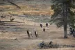 Yellowstone National Park Private Wildlife Tour - Second Medium