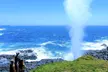 Erupting Blowholes and Ancient Rainforests SOUTH COAST OF SYDNEY PRIVATE TOUR - Image 2