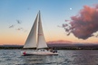 Pau Hana Sunset Cruise with the Whales - Second Medium