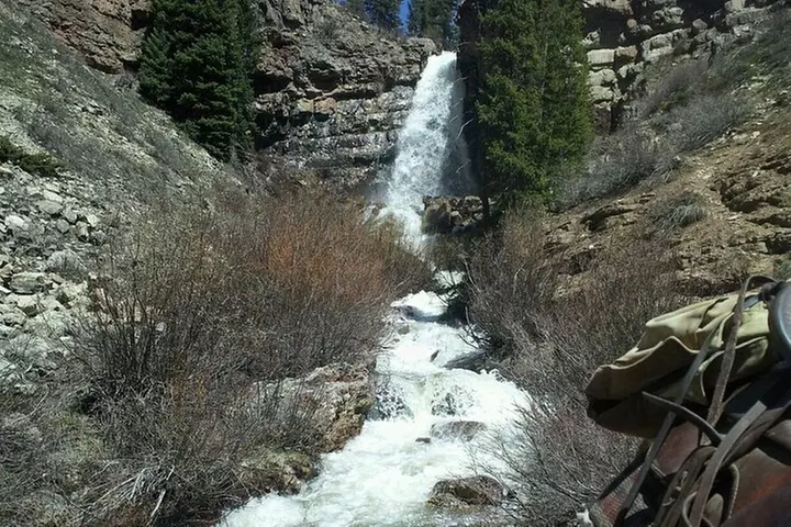 6 Hours Horse Ride - Cascade Creek Trail to the Waterfalls - Second Medium
