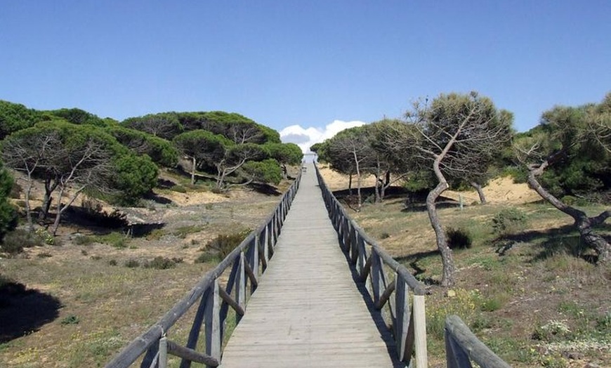 Image 4: Excursión de un día a caballo o en 4x4 en el Parque Nacional de Doñana