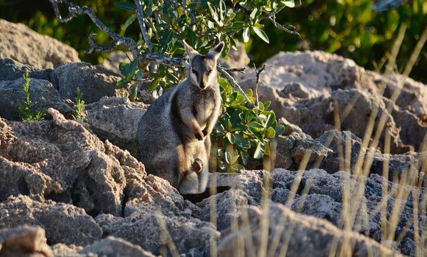 Image 7: Ningaloo In A Full day Hike and Snorkel Tour