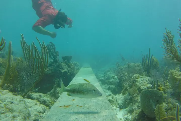 Florida Key Private Islands Exclusive Day Trip from Miami w/activ