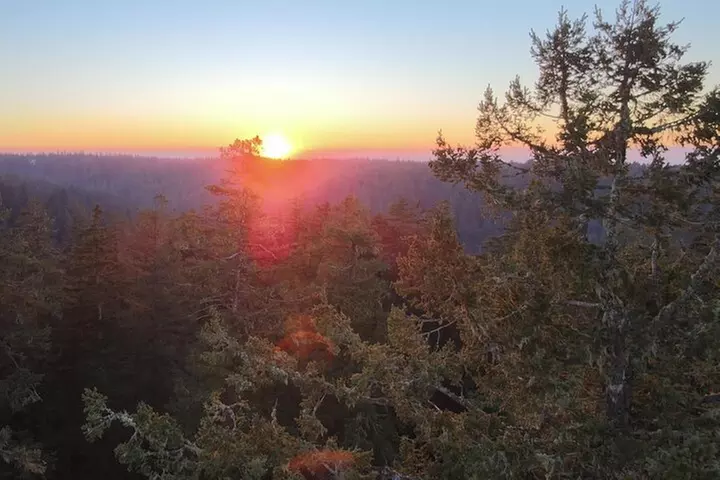 Sunset Tree Climb at Silver Falls State Park