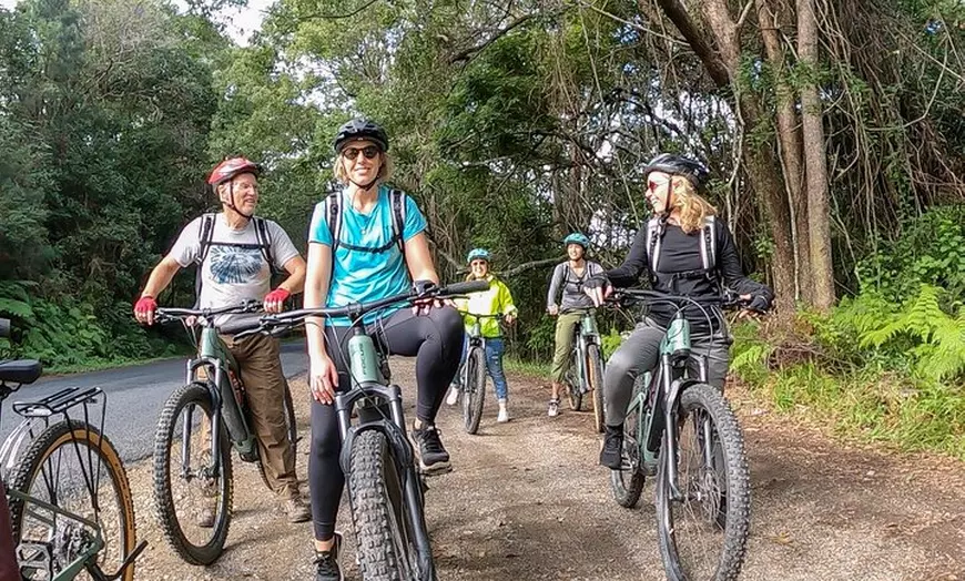 Image 15: Guided E Bike Tour - Unicorn Falls & National Park